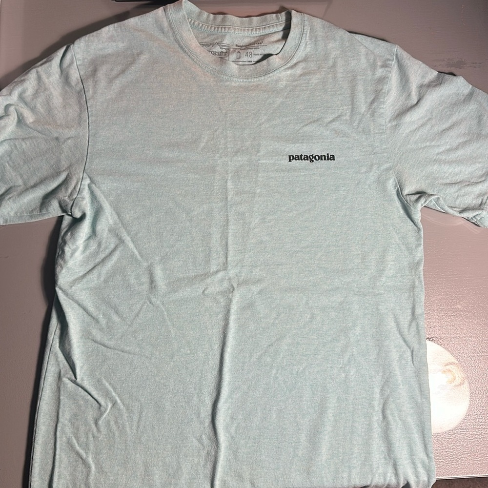 Patagonia tarpon tee shirt